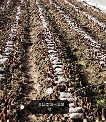 &#20048;&#23478;&#65288;&#20013;&#22269;&#65289;&#26377;&#38480;&#20844;&#21496;&#32;&#124;&#32;&#28020;&#23460;&#32;&#124;&#32;&#20048;&#23478;