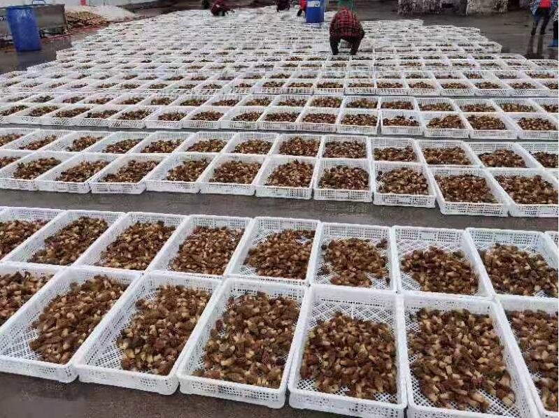 &#20048;&#23478;&#65288;&#20013;&#22269;&#65289;&#26377;&#38480;&#20844;&#21496;&#32;&#124;&#32;&#28020;&#23460;&#32;&#124;&#32;&#20048;&#23478;