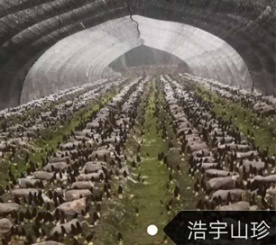 &#20048;&#23478;&#65288;&#20013;&#22269;&#65289;&#26377;&#38480;&#20844;&#21496;&#32;&#124;&#32;&#28020;&#23460;&#32;&#124;&#32;&#20048;&#23478;