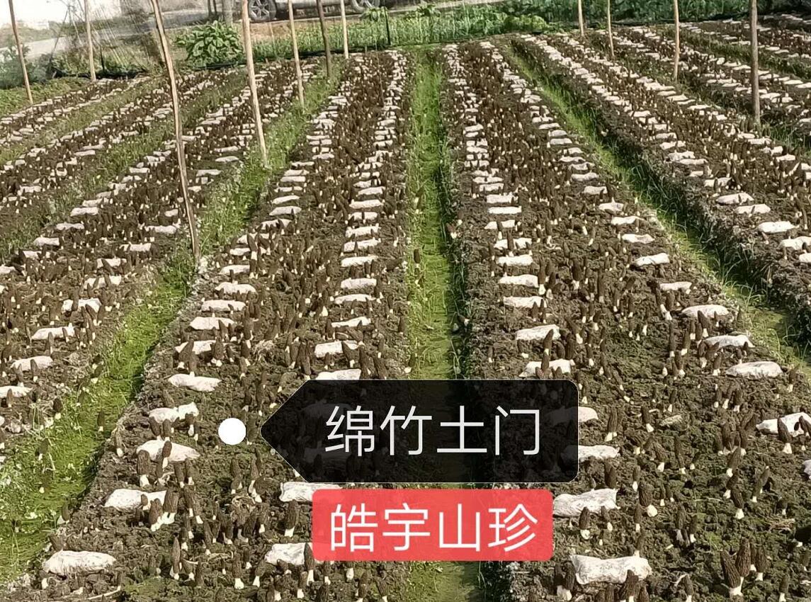 &#20048;&#23478;&#65288;&#20013;&#22269;&#65289;&#26377;&#38480;&#20844;&#21496;&#32;&#124;&#32;&#28020;&#23460;&#32;&#124;&#32;&#20048;&#23478;